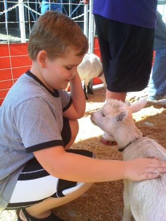 Step 2: Pet cute animals