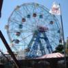 Coney Island- The Wonder Wheel