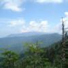 View near Clingman's Dome
