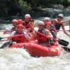 Whitewater rafting on the lower Pigeon River